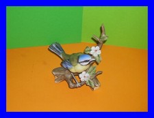 Vogelversammlung  Vogel auf