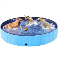 Hundepool Hund Swimmingpool