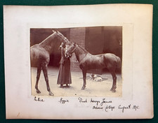 Antik Queen Victoria Osborne