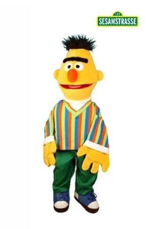 Living puppets handpuppe bert - handpuppe,