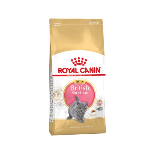 Royal canin britisch kurzhaar - canin, britisch-kurzhaar