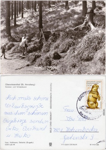 Oberwiesenthal kinder einer - oberwiesenthal,