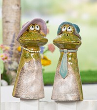 Zaunhocker Frosch witzig