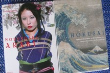 "Araki meets Hokusai", 2