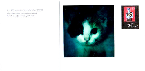 Araki nobuyoshi original - araki,