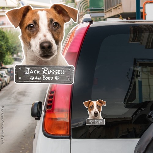 Jack russell terrier bord - russell,
