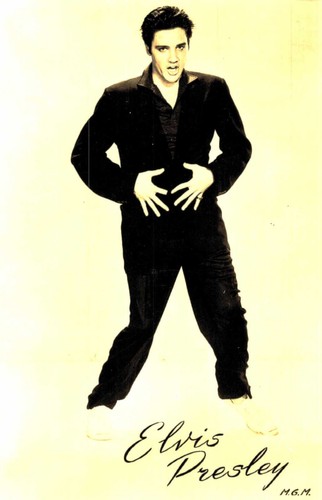 Elvis presley original - ,