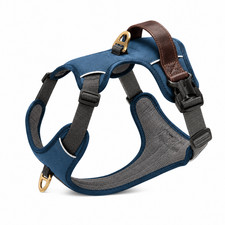 Exklusives vintage - exklusives,