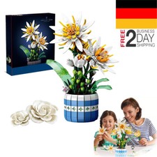 Epiphyllum Blumen Bausteine