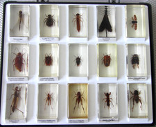 Sammlung 15 x Mini Biester