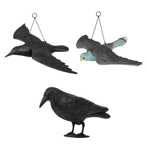 Taubenschreck rabe falke - taubenschreck,