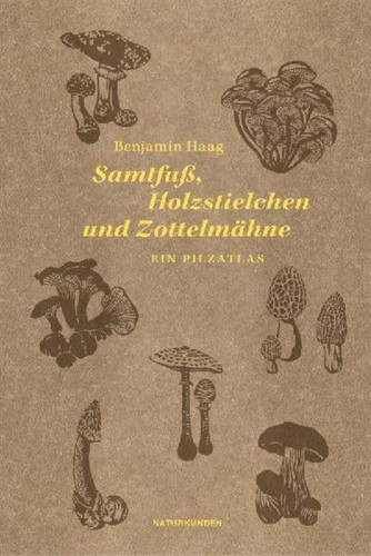 Samtfuß holzstielchen und - samtfuß,,