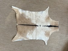 Fell Ziege Ziegenfell Tier Präperat