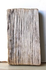Treibholz Schwemmholz Driftwood  1 Brett  Regal Dekoration Basteln 18,5 cm
