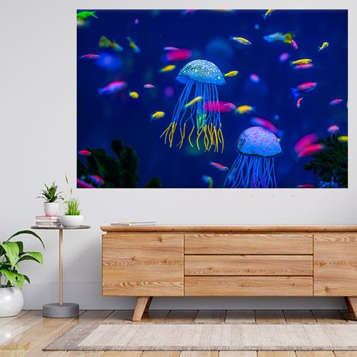 Aquarium quallen fische - quallen,