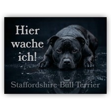 Staffordshire Bullterrier