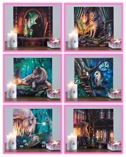 Lisa Parker beleuchtet