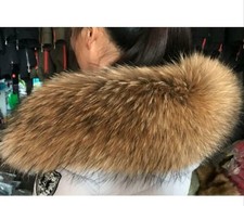 Waschbär XXL Kragen