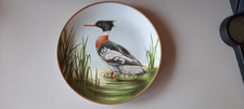 Wandteller . Wandteller  Vögel
