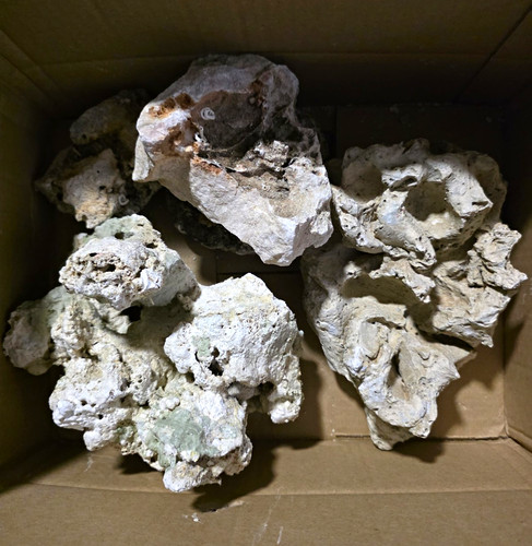 Riffgestein meerwasseraquarium - riffgestein,