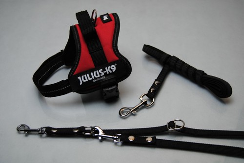 Set julius powergeschirr - julius-k9,