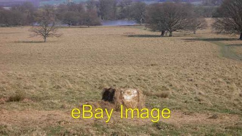 Foto 6x4 blick - foto, petworth