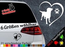 Labrador Retriever Herz