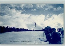 10165835 - Skirfennen