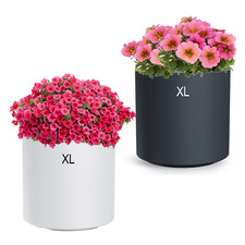 Runder Blumentopf mit Einsaitz