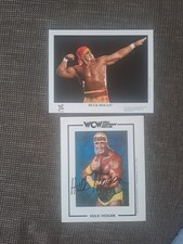 Hulk Hogan   Original
