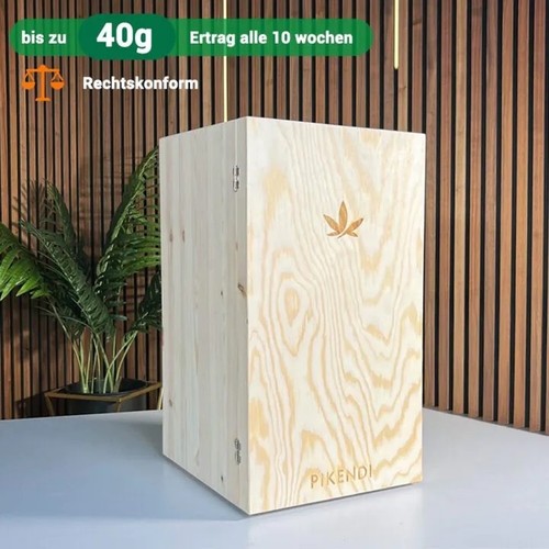 Pikendi premium nature - pikendi,