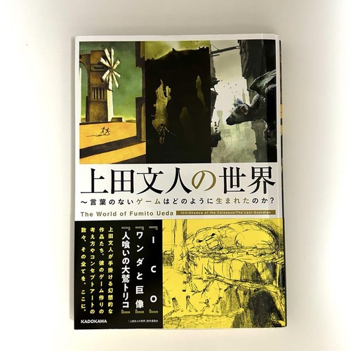 Shadow the colossus last - shadow,