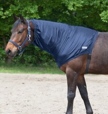 Ekzemer Halsteil Pferd