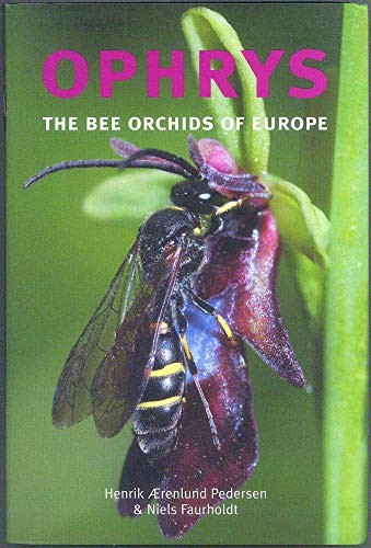 Ophrys the bee - ophrys:,