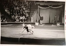 Zirkus Artisten Artistik