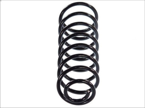 Suspension spring magnum - suspension,