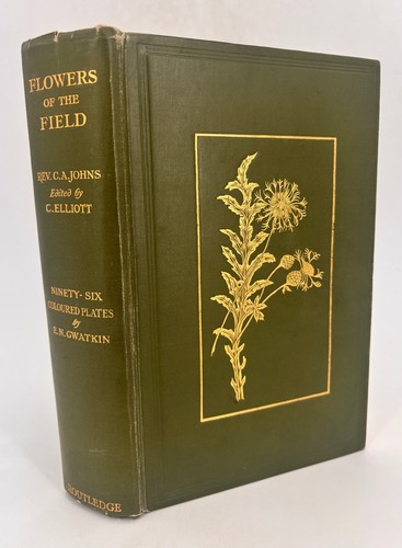Routledge flowers the field - routledge,