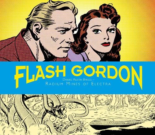 Austin briggs flash - briggs,