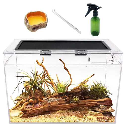 Terrarium komplettset 50x25x27 - terrarium,