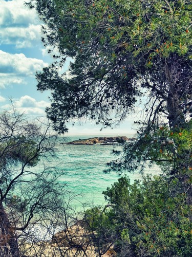 Wandbild foto cala comtessa - wandbild,