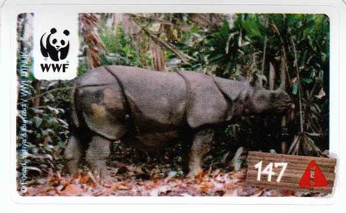 Rewe wwf tier abenteuer - wwf,