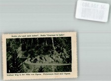 38124303 - Trabzon Hedin Zu