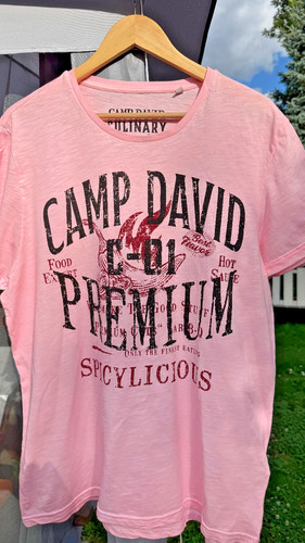 Schönes camp david - david,