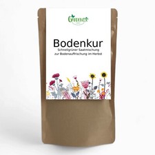 Bodenkur Gründünger Mischung für Herbst und Winter - für 40 qm Fläche