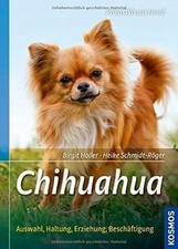 Chihuahua: Auswahl, Haltung