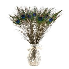 10x Pfauenfedern 40–50 cm