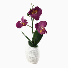 Orchideen-Gesteck Lila in