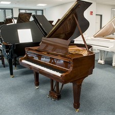 Steinway & Sons S-155 Flügel