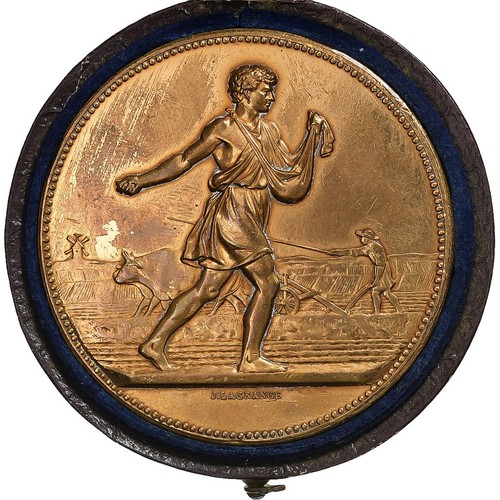 Frankreich medaille comice - frankreich,, medaille,
