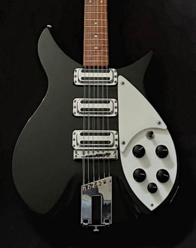 Rickenbacker 350 12 - [rickenbacker], jg
